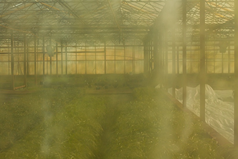 Greenhouse RPK03